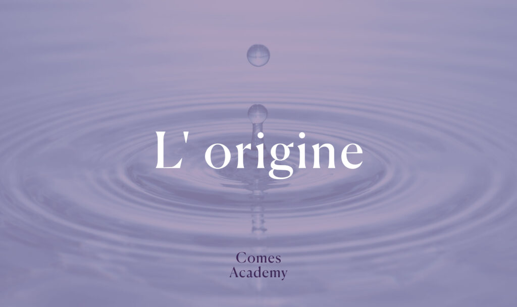 Comes Academy