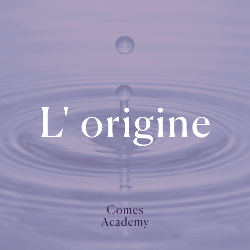 L'origine - Nuova Comes