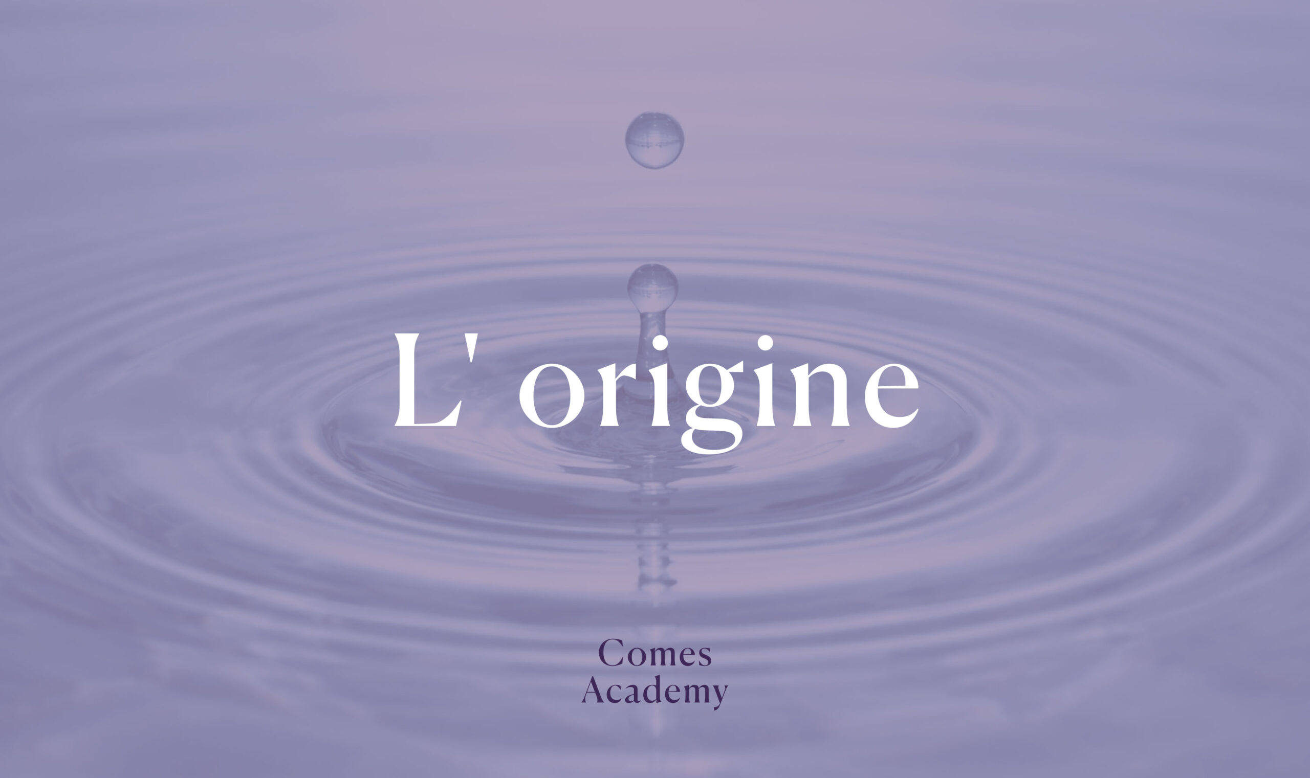 L'origine - Nuova Comes