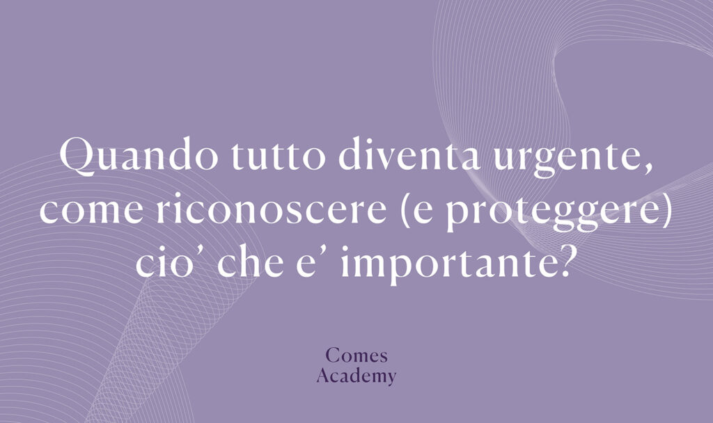Comes Academy